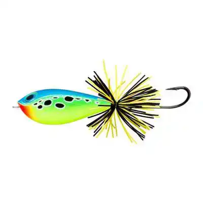 BX Skitter Frog