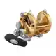 International VISX Gold - 30