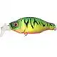 Bacra Shallow Runner - Tiger