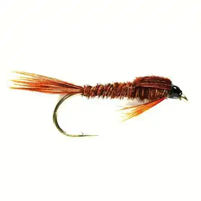 Pheasant Tail Nymph