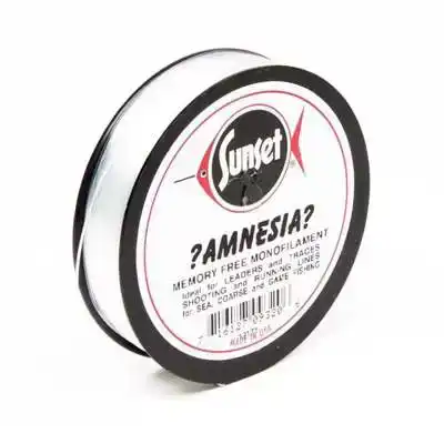 Amnesia - Clear
