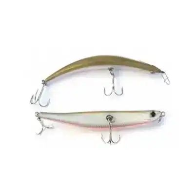 Bent Minnow