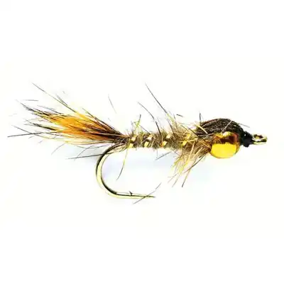 Gold Nugget GRHE Nymph Natural