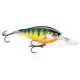 Shad Rap Elite - 5,5 cm - GDCO
