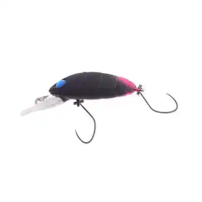 Crankin Pupa