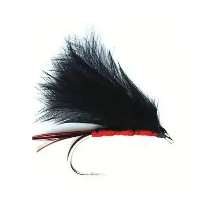 Cormorant Red