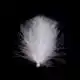 CDC Feathers Super Select - 01 White