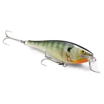 Super Shad Rap