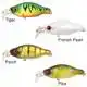 Bacra Shallow Runner - Tiger