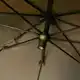 Lo Pro MK2 Umbrella